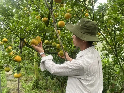 Tập trung nhiều chính sách tín dụng cho nông nghiệp