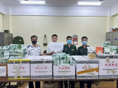 Những chuyên án ma túy 'khủng' bị triệt phá trong năm 2024