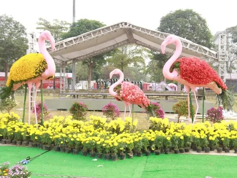 Kéo dài thời gian tổ chức Festival hoa Mê Linh đến hết Tết Dương lịch