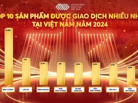 Thị phần môi giới hàng hóa 2024: Cuộc cạnh tranh khốc liệt