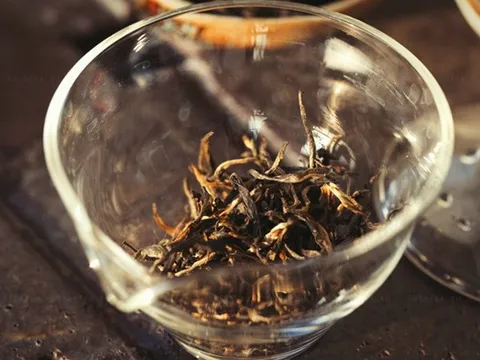 Loại trà đen sì giá 25 triệu đồng/kg có gì đặc biệt mà đại gia thi nhau xuống tiền mua?