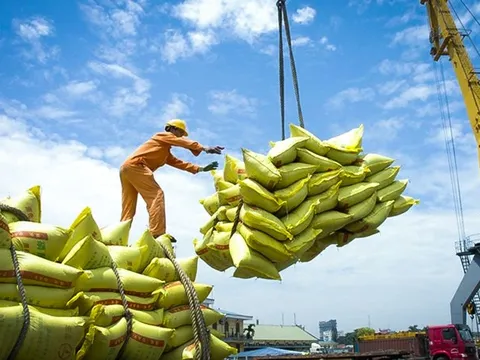Quy định mới về kinh doanh xuất khẩu gạo