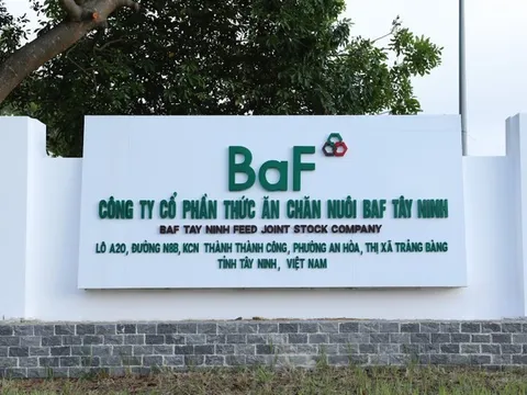 BAF nhận chuyển nhượng vốn góp từ một doanh nghiệp tại Gia Lai