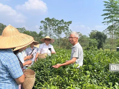 Từng bước đưa du lịch xanh vào cuộc sống