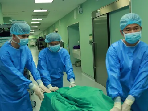 Thêm nhiều bệnh nhân được hồi sinh sự sống từ tạng hiến của người cho chết não