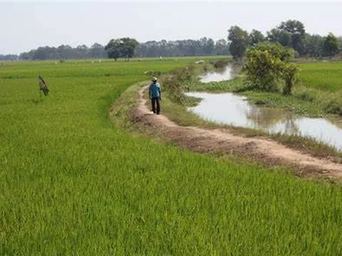 Hà Tĩnh:Bắt đối tượng chém cán bộ thôn