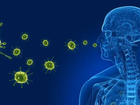 Bộ Y tế thông tin virus gây viêm phổi trên người tại Trung Quốc