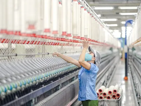 Xuất nhập khẩu năm 2024 'cán mốc' 786 tỷ USD