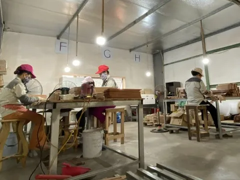 Xuất khẩu gỗ và sản phẩm gỗ lập kỷ lục mới