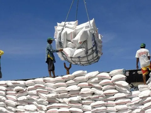 Giá gạo giảm sâu, Bộ Công Thương đề xuất giải pháp gì?