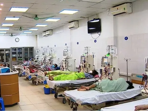 Giám sát phát hiện sớm dịch bệnh từ cửa khẩu, đảm bảo đủ thuốc dịp Tết