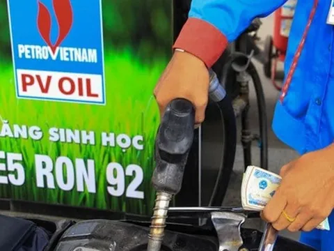 Vì sao xăng sinh học E5 'ế hàng'?