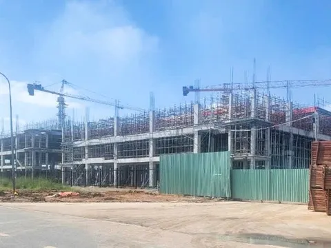 Một công ty xây dựng không phép ở Đồng Nai bị xử phạt gần 1,2 tỷ đồng