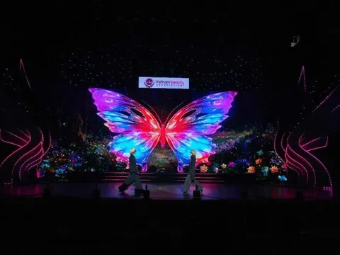 VNBA Beauty Awards 2025: Những dấu ấn của Ban thiết kế tạo mẫu tóc VNBA