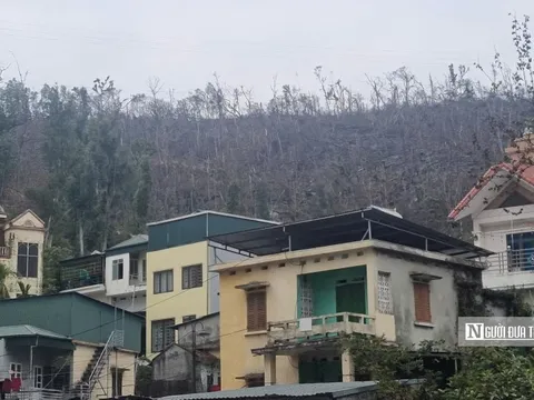 Quảng Ninh: Khói âm ỉ ở đám cháy rừng gần khu dân cư phường Bãi Cháy