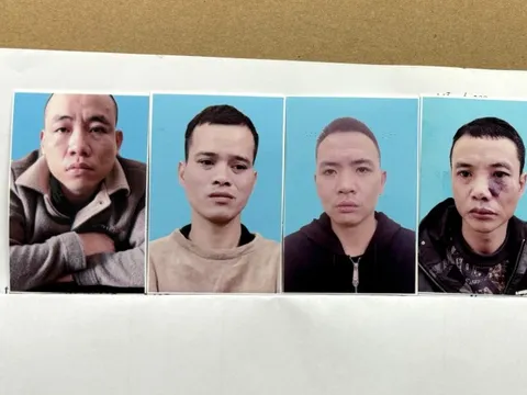 Nam Định: Triệt phá tận gốc đường dây ma túy liên tỉnh