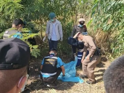 Đi bắt chuột, người đàn ông sợ hãi khi thấy thứ chôn dưới đất
