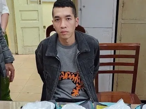 Bắt 2 đối tượng trong đường dây vận chuyển ma túy từ Hà Lan về Việt Nam