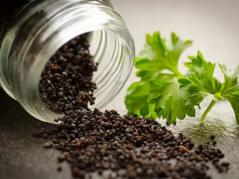 Kiểm soát nhập khẩu thuốc Spravato và hạt cây có chứa chất ma túy