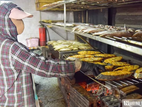 Ngư dân vùng biển xứ Thanh đỏ lửa ngày đêm nướng 4-5 tạ cá phục vụ Tết