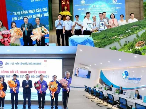 Nhìn lại 10 thành tựu nổi bật của HueWACO trong năm 2024