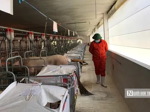 Huyện miền núi thu hút 2 dự án nông nghiệp quy mô lớn ngay đầu năm 2025