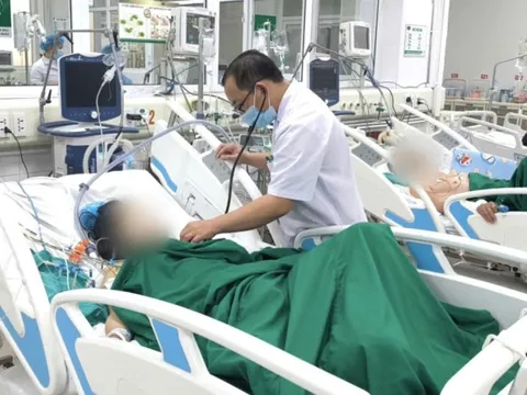 Vừa trở về từ Sierra Leone, bệnh nhân nhập viện vì sốt rét ác tính, nguy cơ tử vong cao