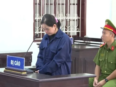 16 năm tù cho người phụ nữ lừa đảo 10 tỷ đồng