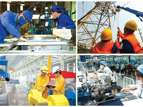 Xử lý điểm nghẽn trong sắp xếp, đổi mới và nâng cao hiệu quả hoạt động của DNNN