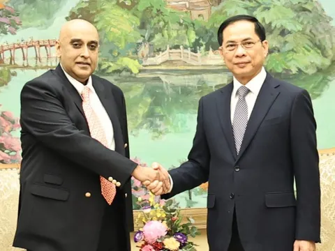 Phó Thủ tướng Bùi Thanh Sơn tiếp Chủ tịch Tập đoàn Makara Capital