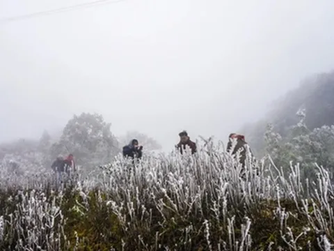 Miền Bắc đón liên tiếp không khí lạnh mạnh "lạ thường", tháng 1 còn bao nhiêu đợt rét đậm?