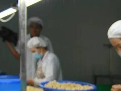 Kỷ lục loại hạt siêu dưỡng chất được Mỹ "bạo chi" hơn 1,1 tỷ USD để nhập khẩu