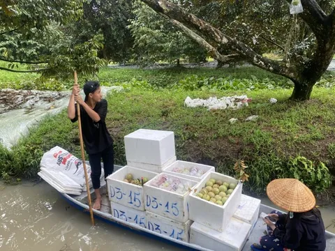 Quản lý rau quả cần chặt chẽ từ nơi sản xuất