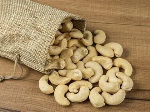 Giữ vững đà tăng trưởng và phát triển ngành điều