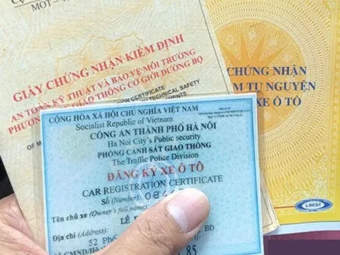 Tháng giáp Tết, người dân Quảng Ninh mua thêm hàng nghìn ô tô mới