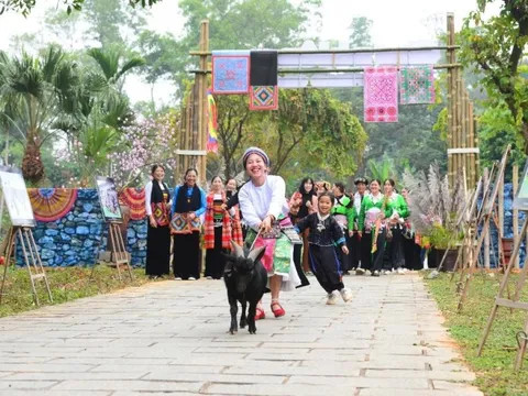 Nhiều sự kiện văn hóa du lịch hấp dẫn trong dịp Tết Nguyên đán