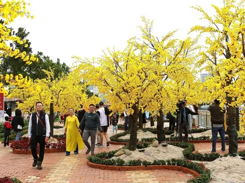 Miền Trung: Rộn ràng các hoạt động văn hóa, nghệ thuật đón Tết