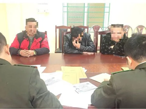 Xử phạt 3 người lập nhóm "mua bán ong" để báo chốt giao thông