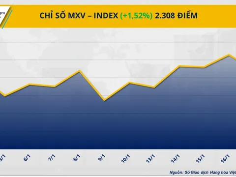 Sắc xanh áp đảo, MXV-Index nằm trên mốc 2.300 điểm