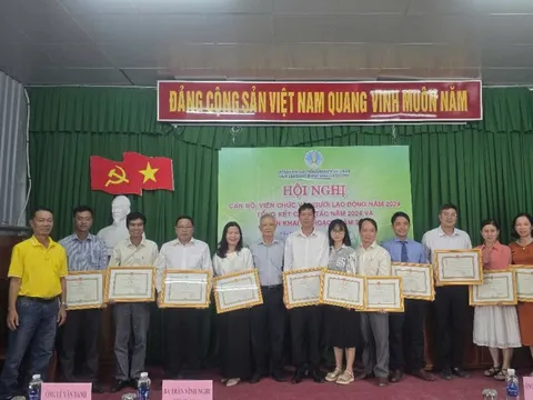 Viện Lúa ĐBSCL lai tạo hàng trăm giống lúa chất lượng cao cho khu vực