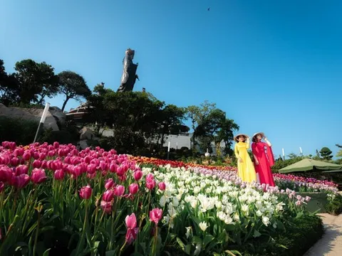 Hơn 115.000 gốc hoa tulip và nhiều hoạt động hấp dẫn sẽ được tổ chức trong Hội xuân núi Bà