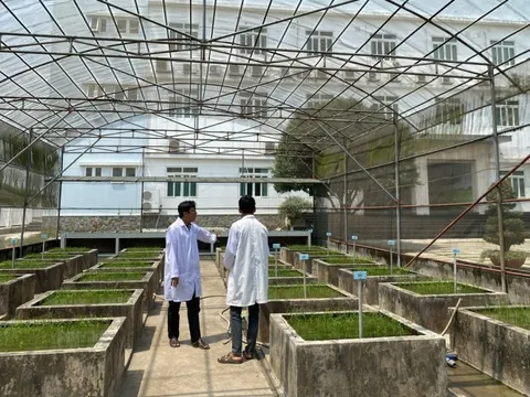 Thay đổi tư duy trong nghiên cứu khoa học nông nghiệp