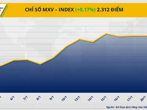 Dòng tiền chảy mạnh vào thị trường nông sản và nguyên liệu công nghiệp