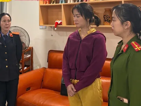 Bắt nữ giám đốc doanh nghiệp mua bán trái phép hóa đơn, trốn thuế