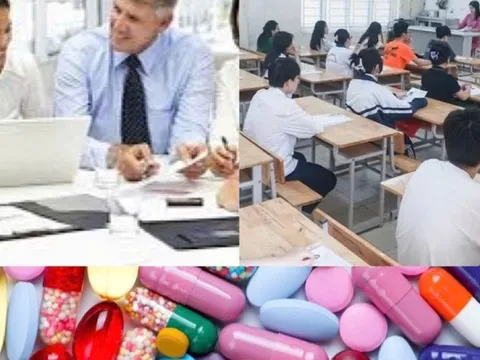 Xử lý thông tin phản ánh về quy trình tuyển dụng lao động; đăng ký thuốc; chương trình giáo dục phổ thông