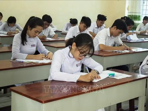 3.803 thí sinh đạt giải Kỳ thi chọn học sinh giỏi quốc gia THPT năm học 2024-2025