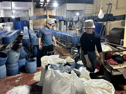 Khởi tố chủ cơ sở sản xuất 30 tấn giá đỗ có sử dụng chất cấm