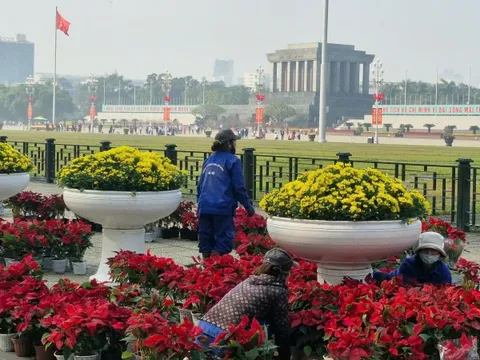 Phố phường Thủ đô rực rỡ đón Xuân mới