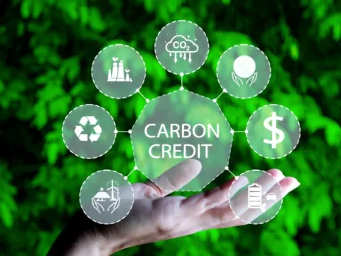 Phê duyệt Đề án Thành lập và phát triển thị trường các-bon tại Việt Nam