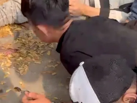 Bắt nóng nhóm đối tượng bắt cóc cô gái ngày giáp Tết